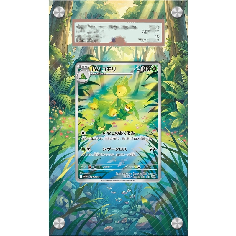 Акриловый защитный футляр для  – обзор и цена Anime Merchandise For Girls